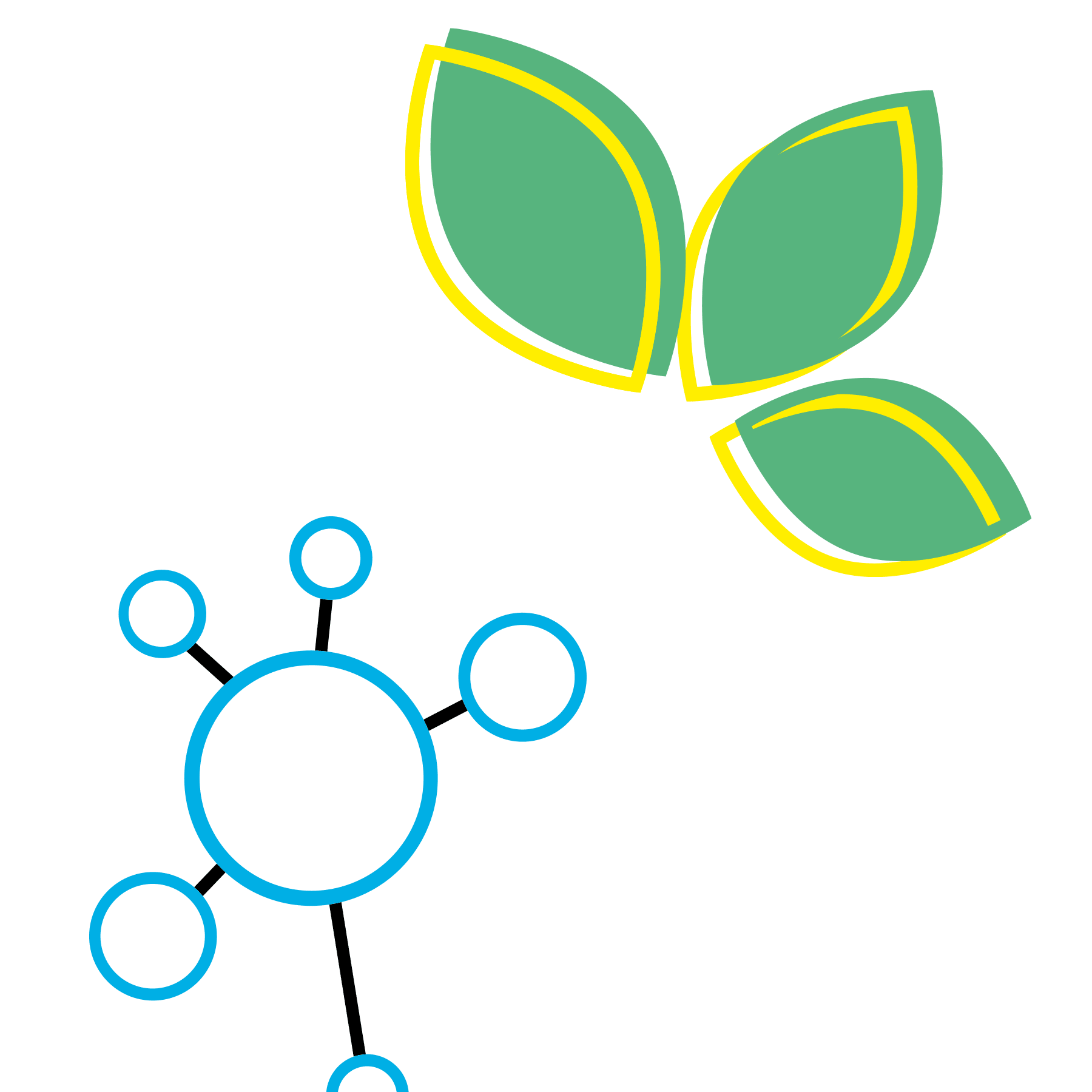 Growth and Skills Hub